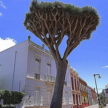 Apartamento Maya *