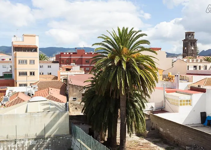 Maya La Laguna (Tenerife)